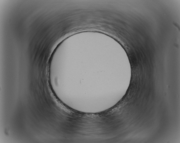 X0000097801526200804041303