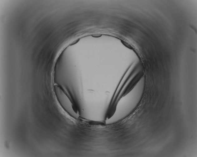 X0000097801528200804041303