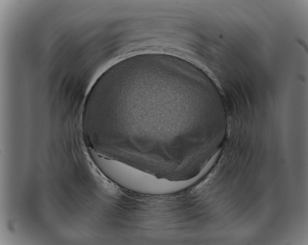 X0000097801530200804041303