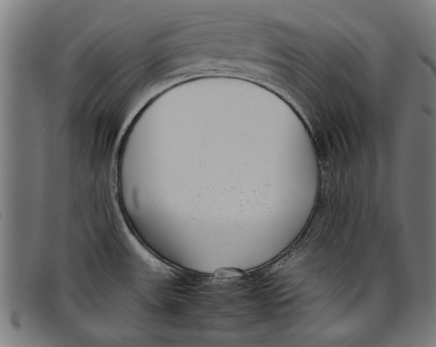 X0000097801531200804041303