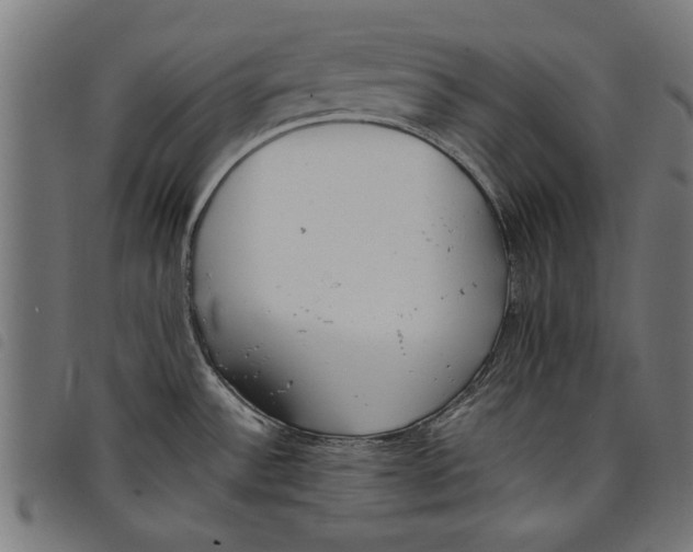 X0000097801532200804041303