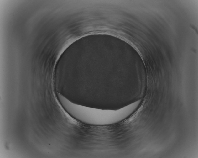 X0000097801533200804041303