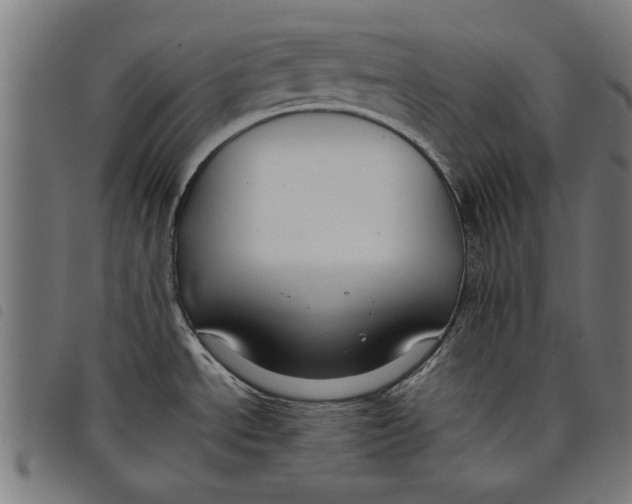 X0000097801534200804041303