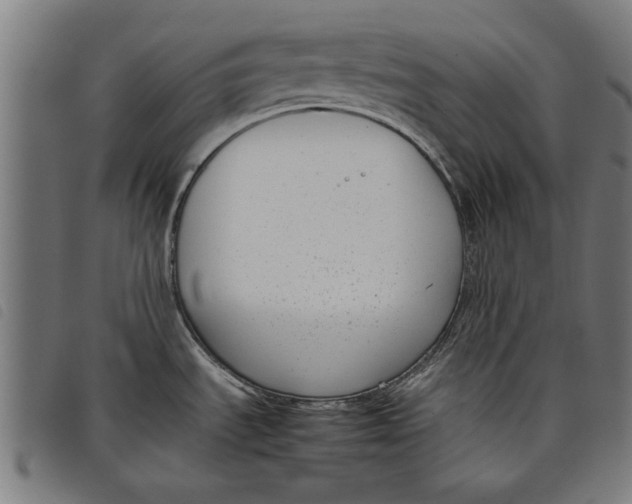 X0000097801535200804041303