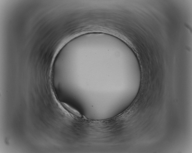 X0000097801536200804041303