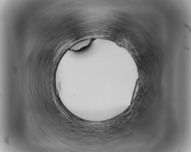 X0000097800001200804110936