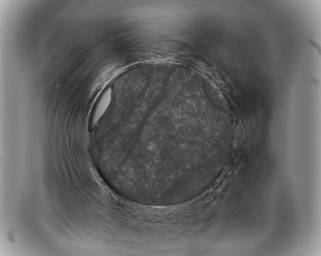 X0000097800002200804110936