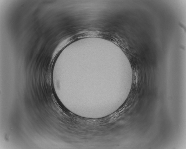 X0000097800004200804110936