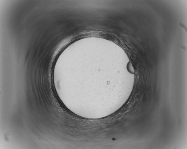 X0000097800006200804110936