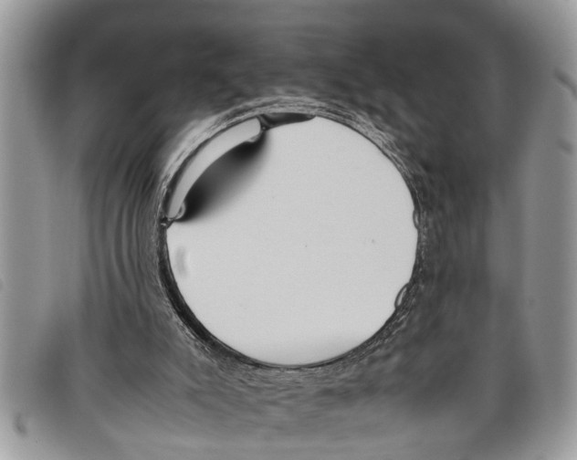 X0000097800007200804110936