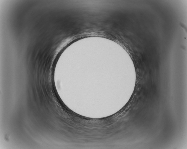 X0000097800008200804110936