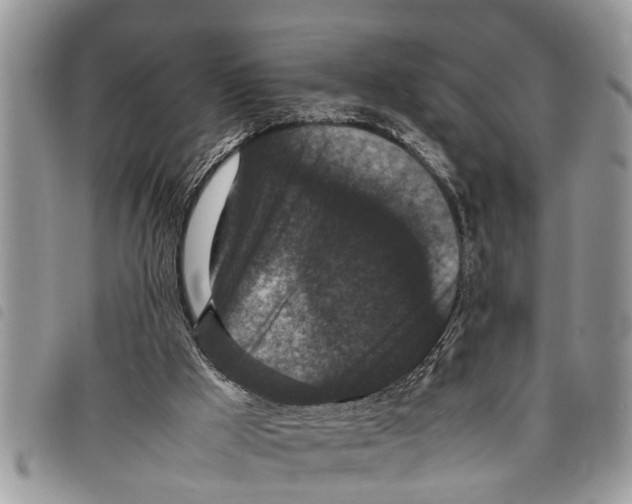 X0000097800009200804110936