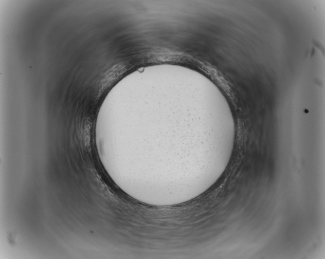 X0000097800010200804110936