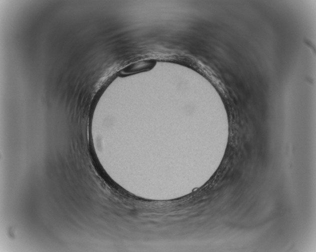 X0000097800011200804110936