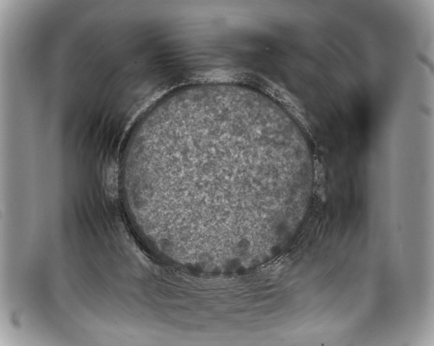 X0000097800012200804110936