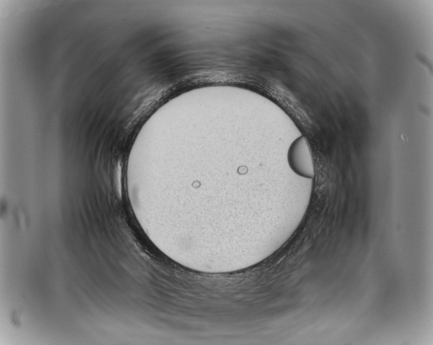 X0000097800014200804110936