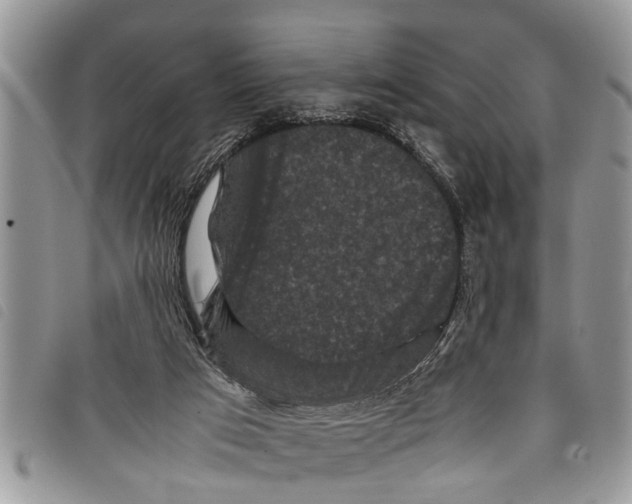 X0000097800017200804110936