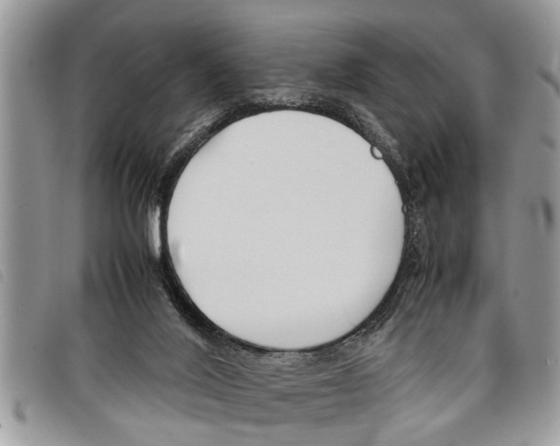 X0000097800020200804110936