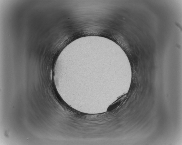 X0000097800021200804110936