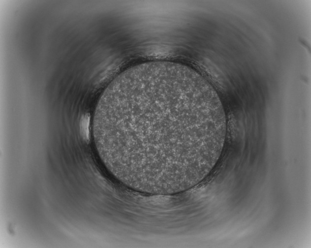 X0000097800024200804110936