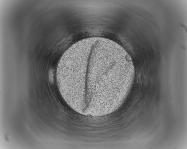 X0000097800026200804110936