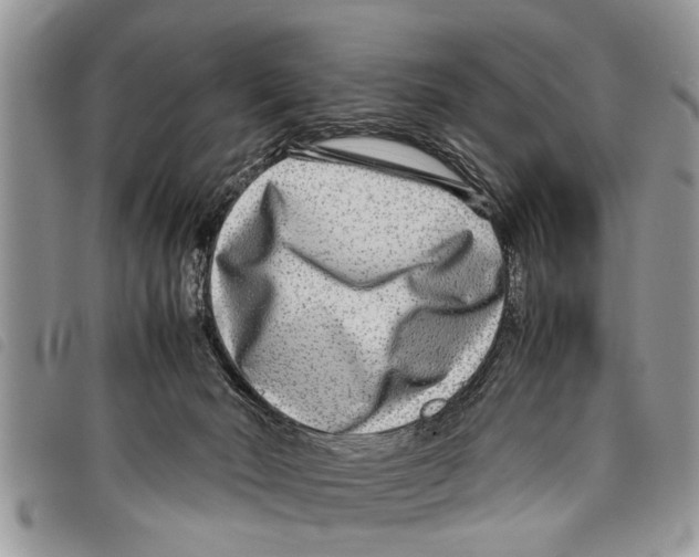 X0000097800030200804110936