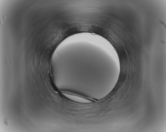 X0000097800031200804110936