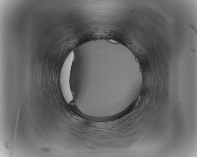 X0000097800033200804110936