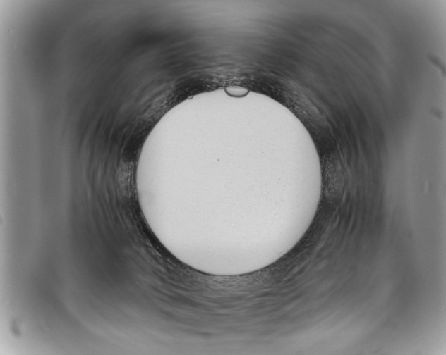 X0000097800034200804110936