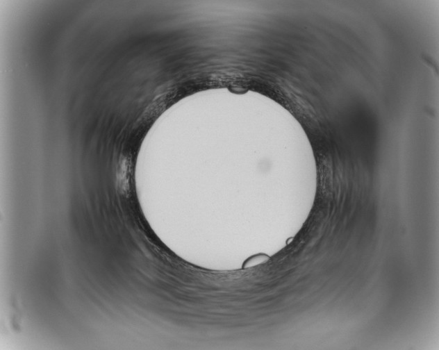 X0000097800038200804110936