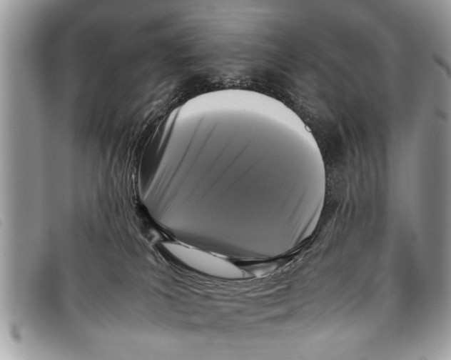 X0000097800039200804110936