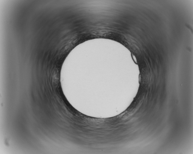 X0000097800040200804110936