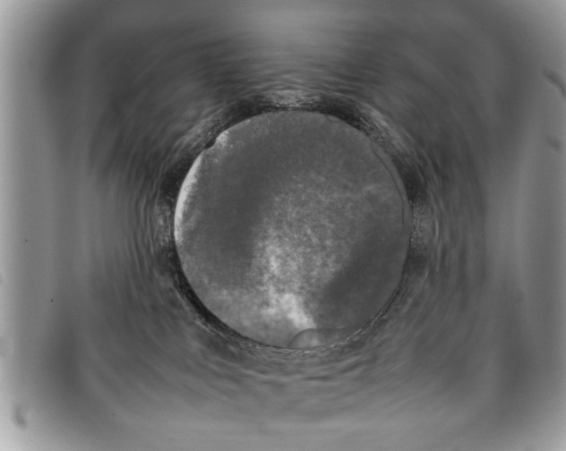 X0000097800043200804110936