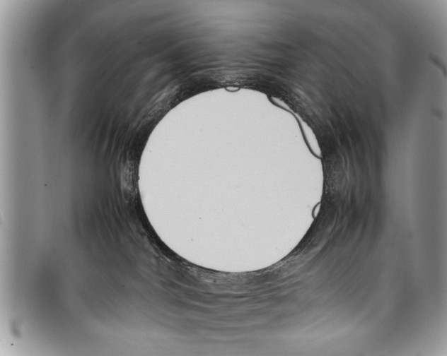 X0000097800044200804110936