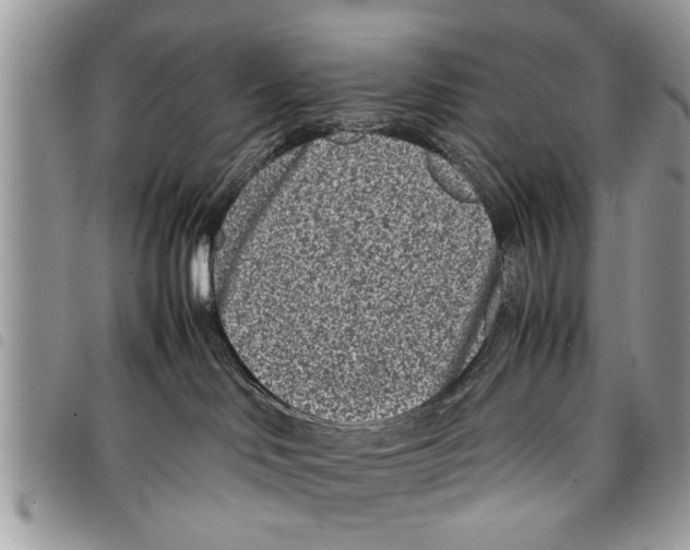 X0000097800046200804110936