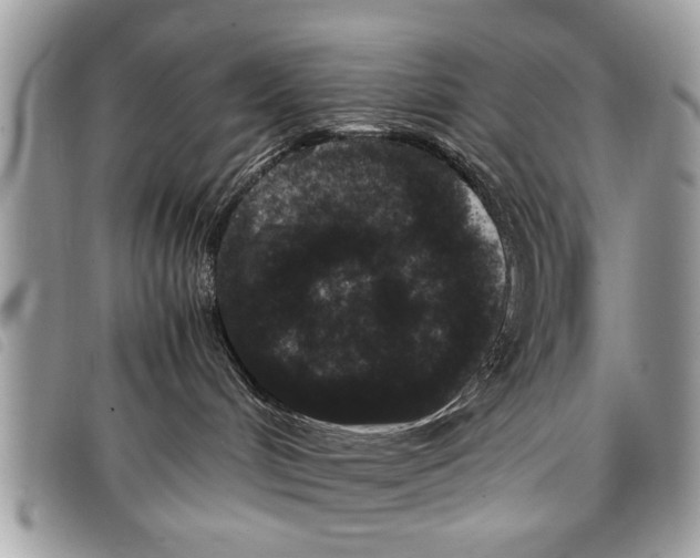 X0000097800048200804110936