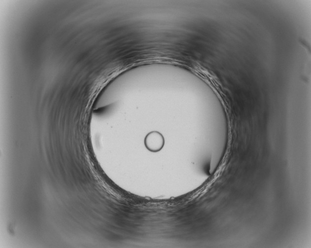 X0000097800049200804110935