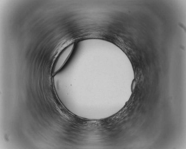 X0000097800050200804110935