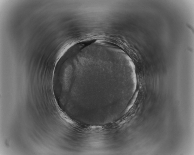 X0000097800052200804110935