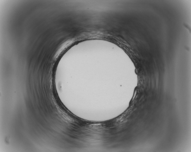 X0000097800054200804110935