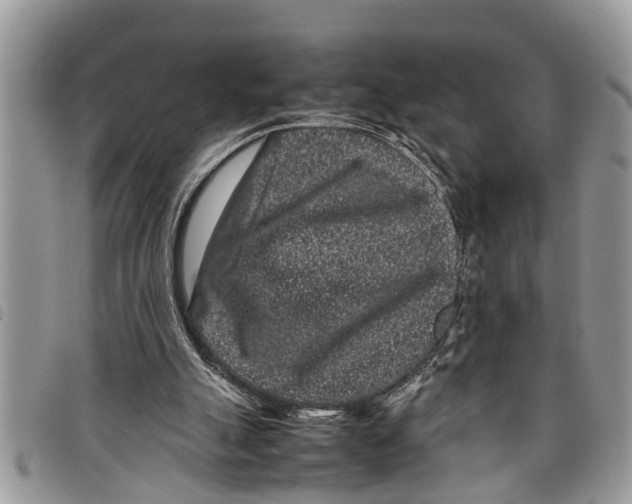 X0000097800055200804110935