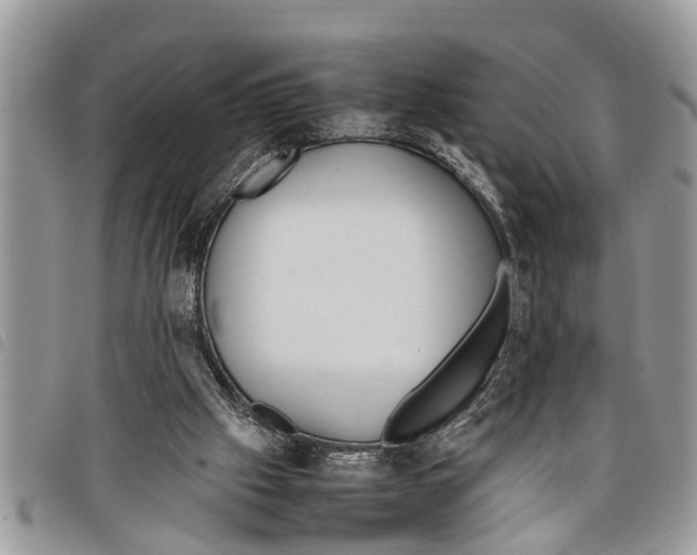 X0000097800057200804110935