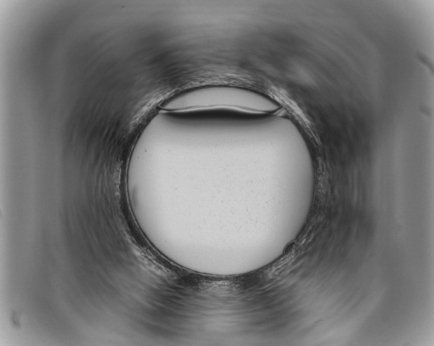 X0000097800058200804110935