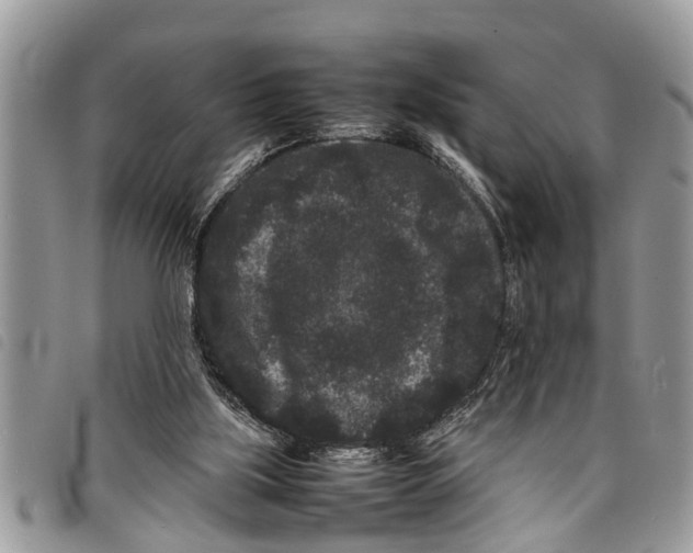 X0000097800059200804110935