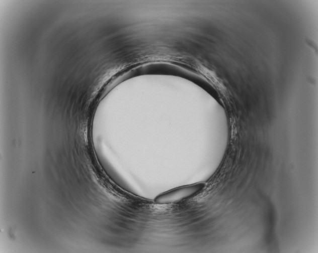 X0000097800060200804110935