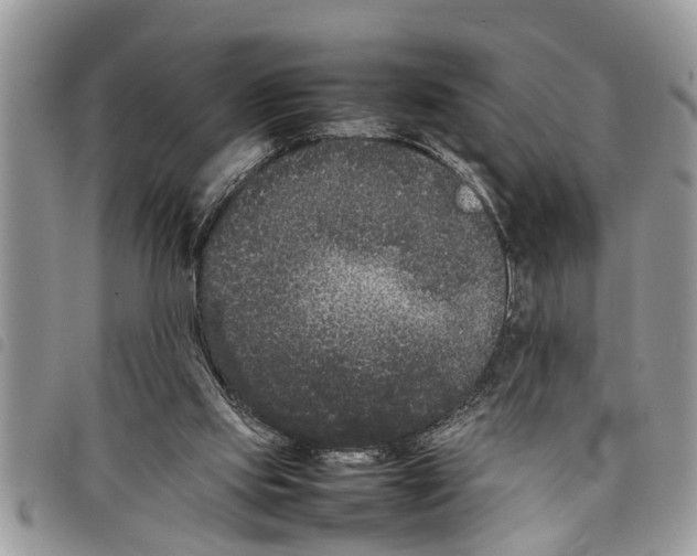 X0000097800061200804110935