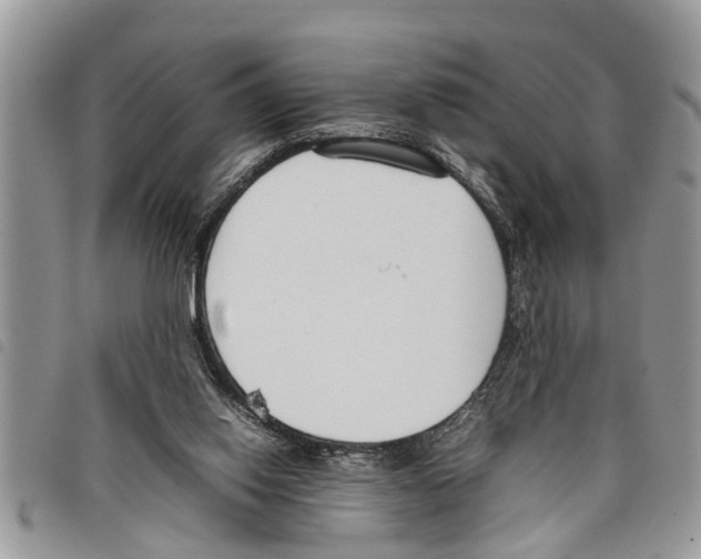 X0000097800062200804110935