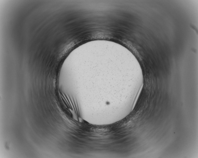 X0000097800063200804110935