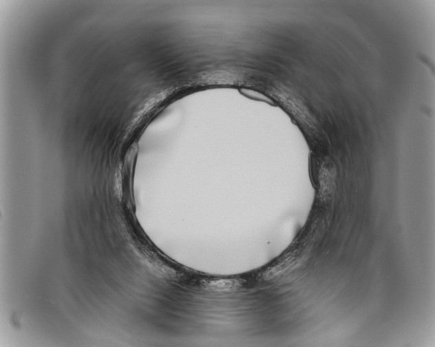 X0000097800064200804110935