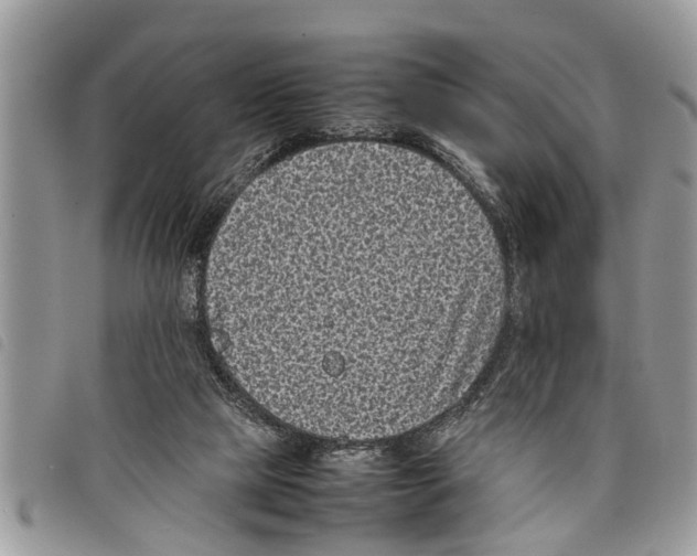 X0000097800065200804110935